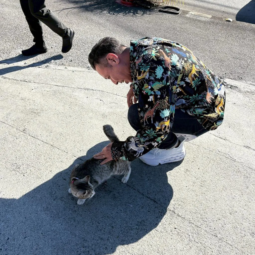 1月30日、アゲアゲ飯19時〜放送！！