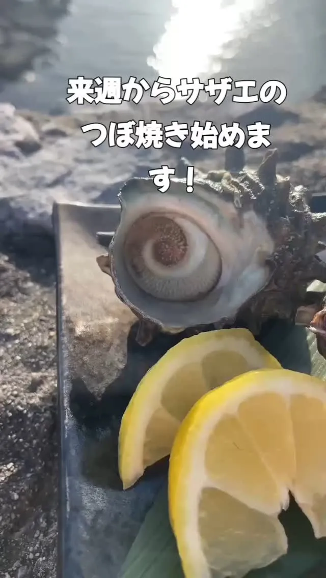 こんにちは！