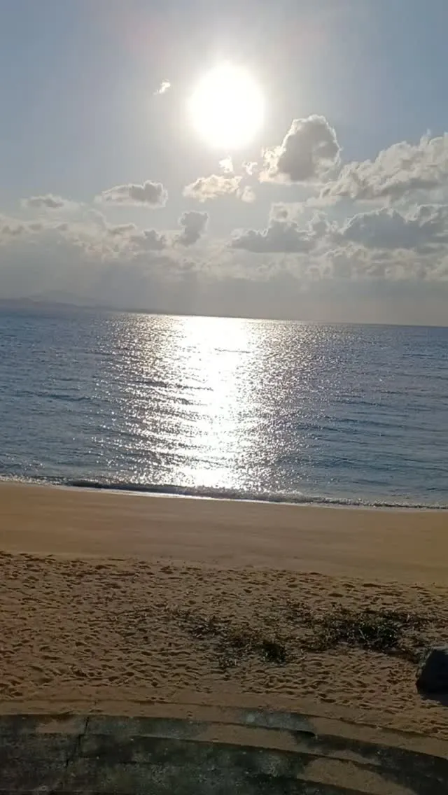 こんにちは焼肉名護元帥です。